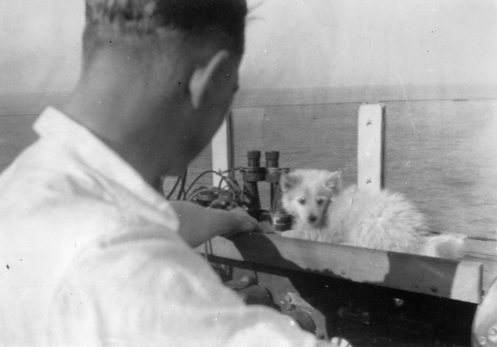 The Ship's dog on the Bridge with Sub Lt ASlan Marsh RNVR