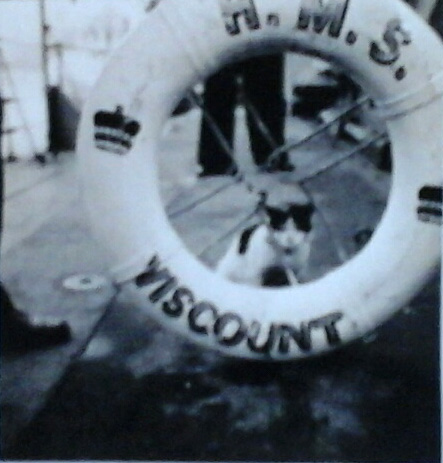Ships cat on HMS Viscount
